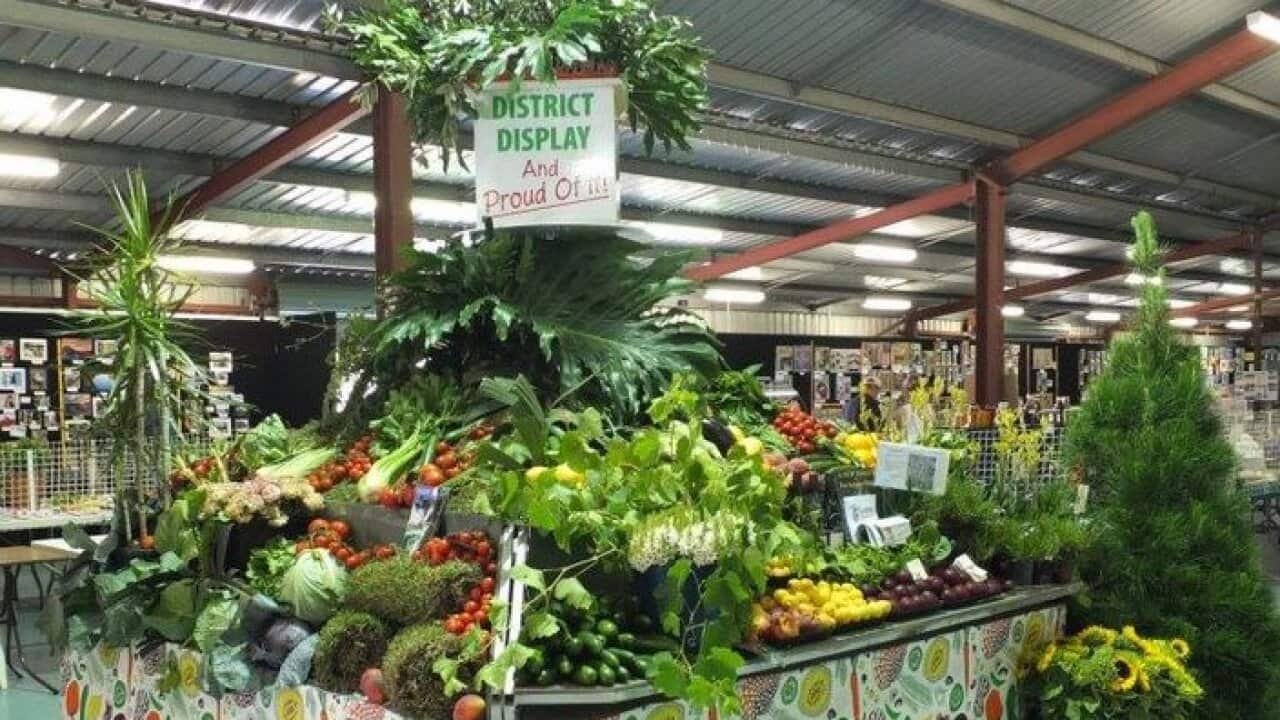 Image for read more article 'READ MORE'