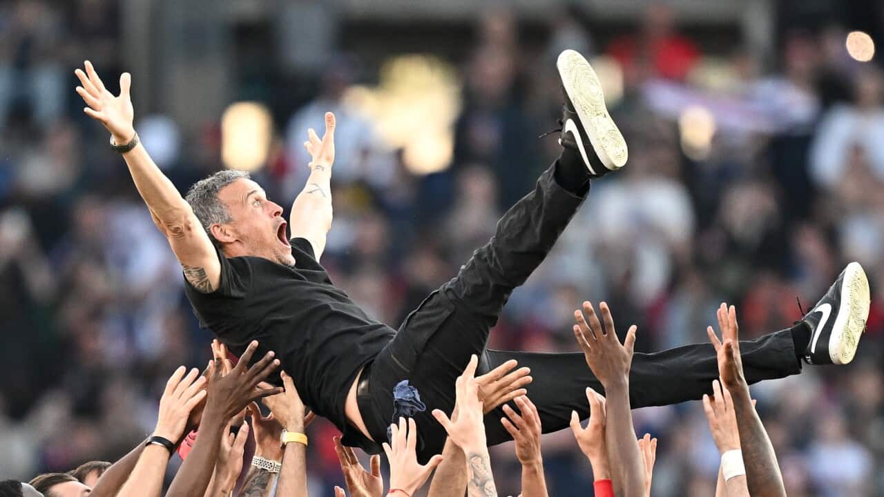 Paris Saint-Germain v Angers SCO - Ligue 1 McDonald's 2024/2025