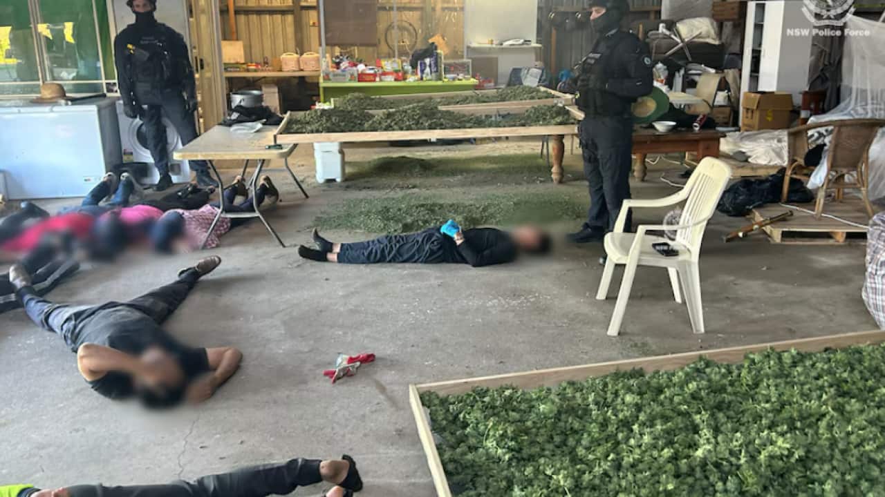 Xuan Su Nguyen was arrested inside a shed in Shellharbour. (Supplied NSW Police)