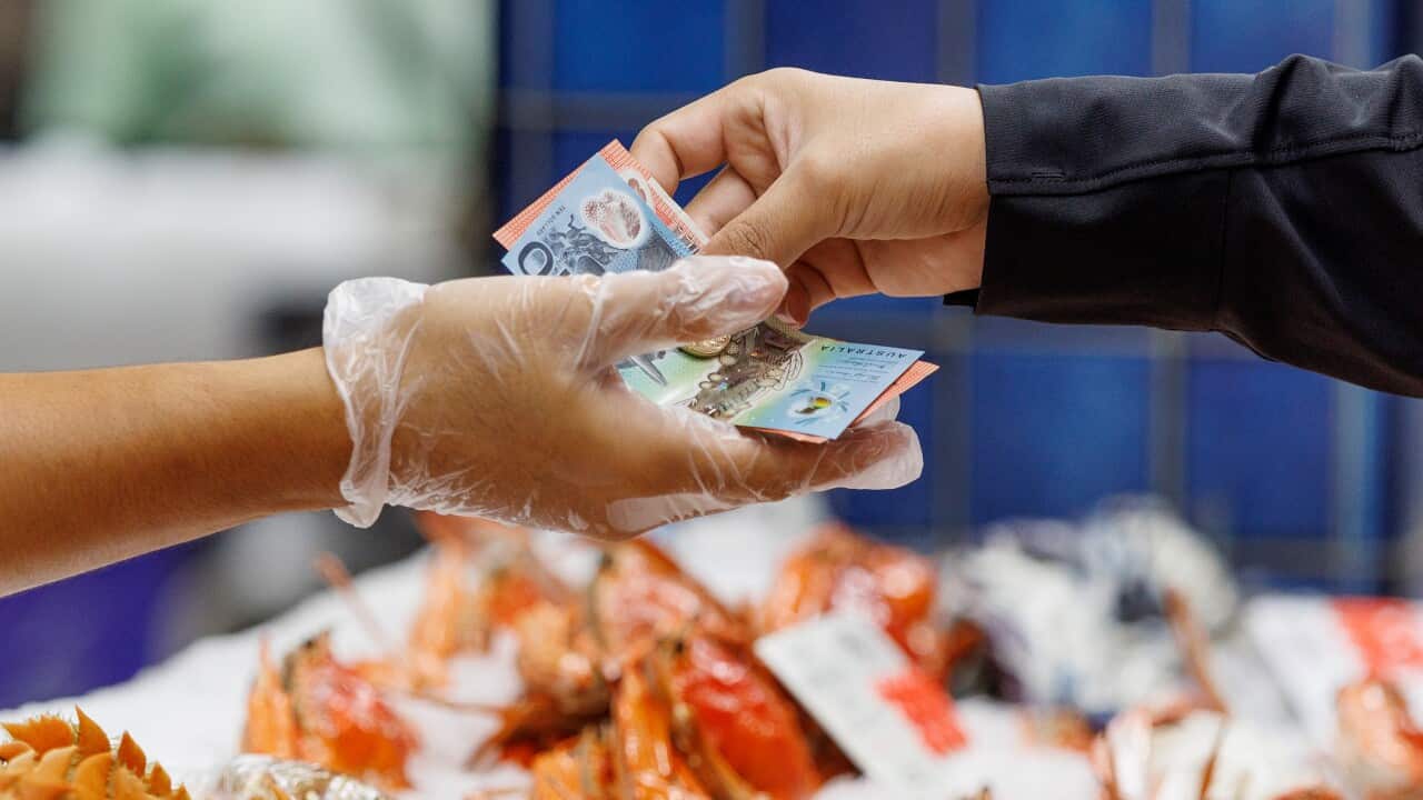 Inside the New Sydney Fish Market