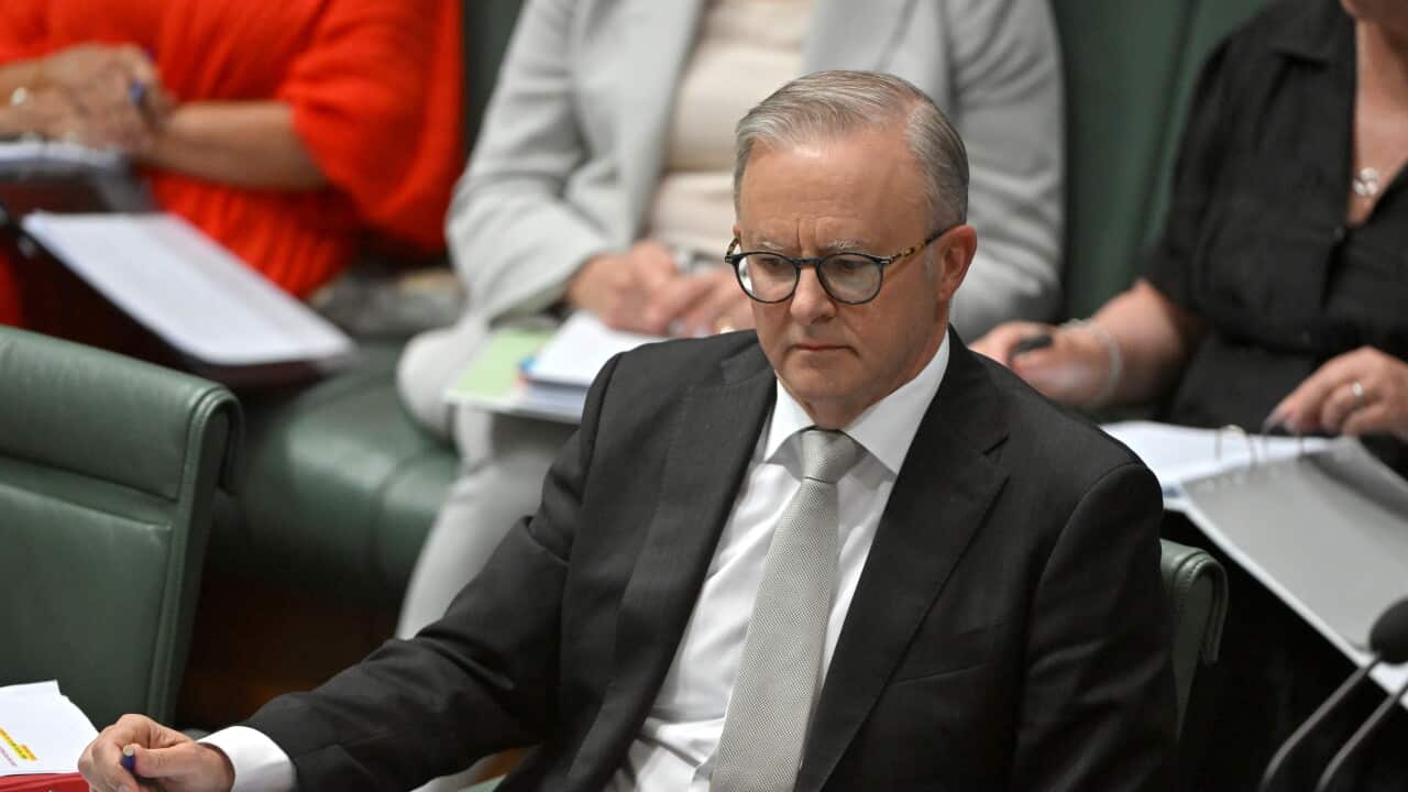 Anthony Albanese sitting down at a desk looking at papers.
