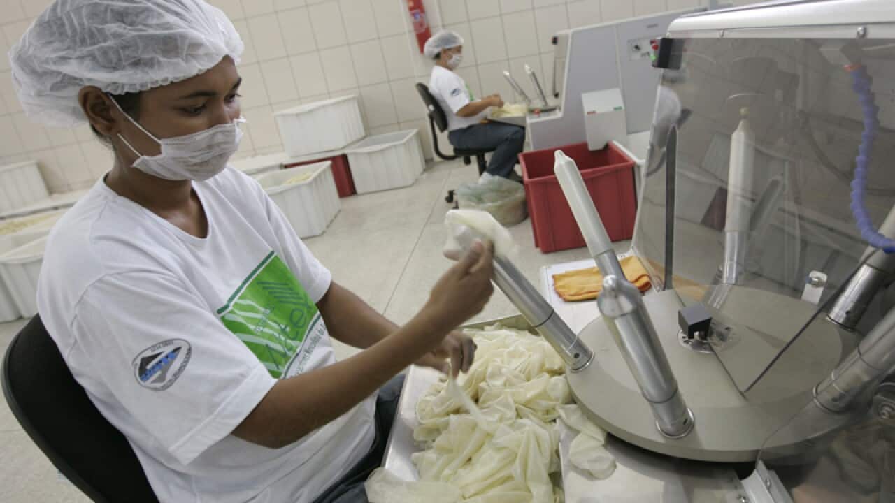 A worker checks rubber condoms