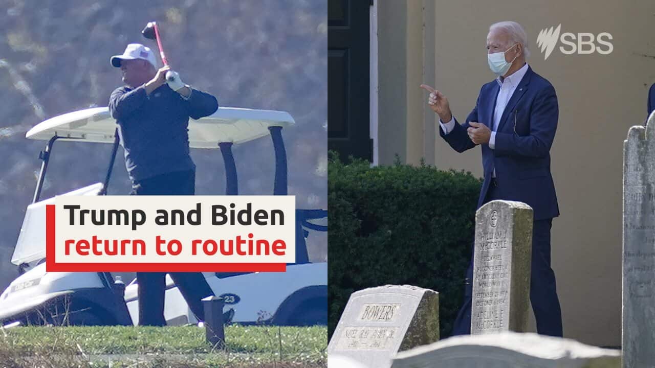 Trump Biden
