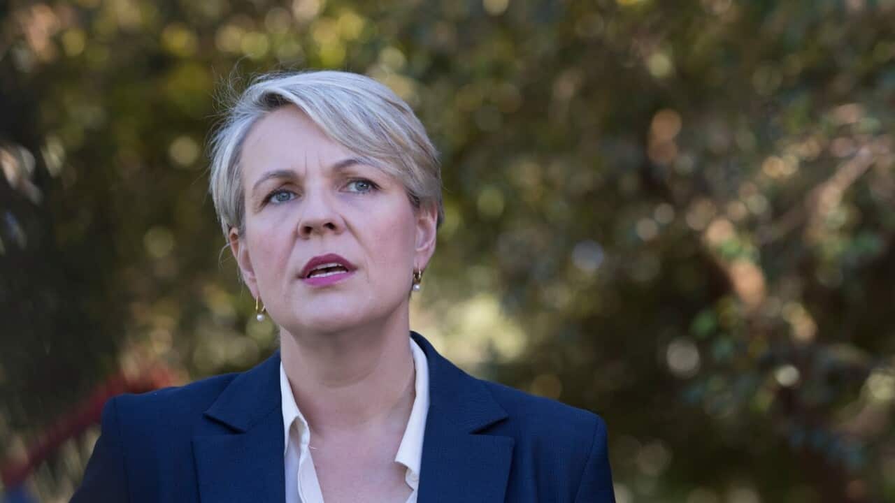The Deputy Leader of the Opposition Tanya Plibersek