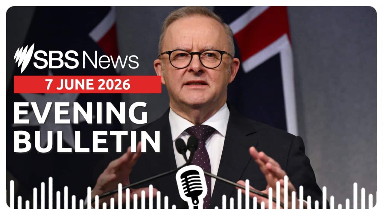 Anthony Albanese gestures with his hands.