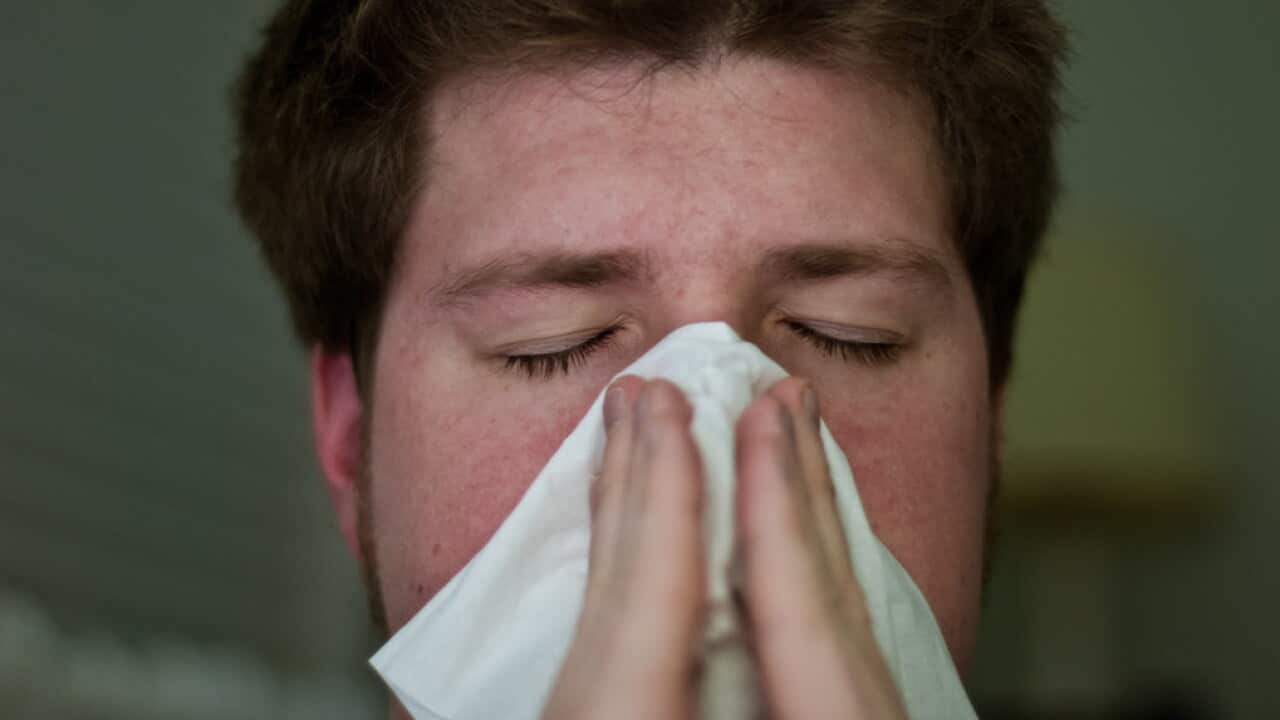 Flu has claimed 31 lives in Victoria