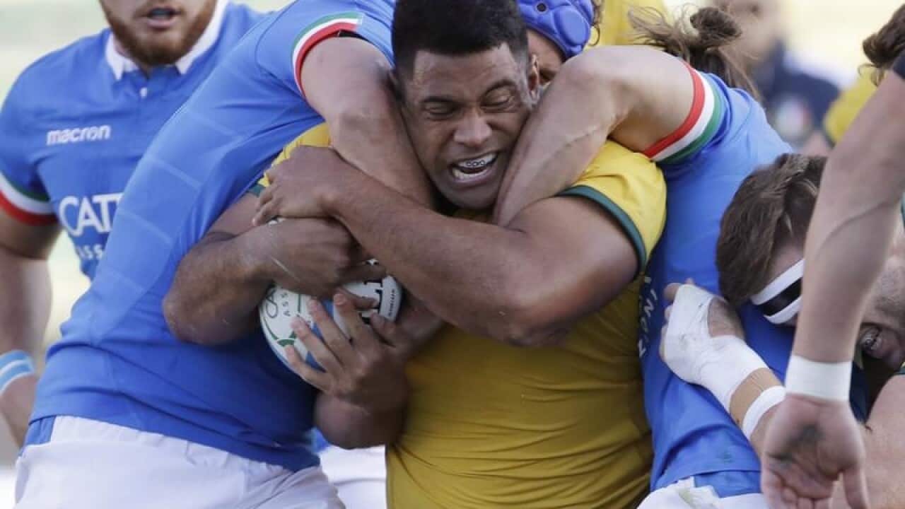 Scott Sio