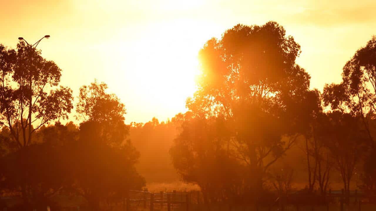 Hot, dry weather