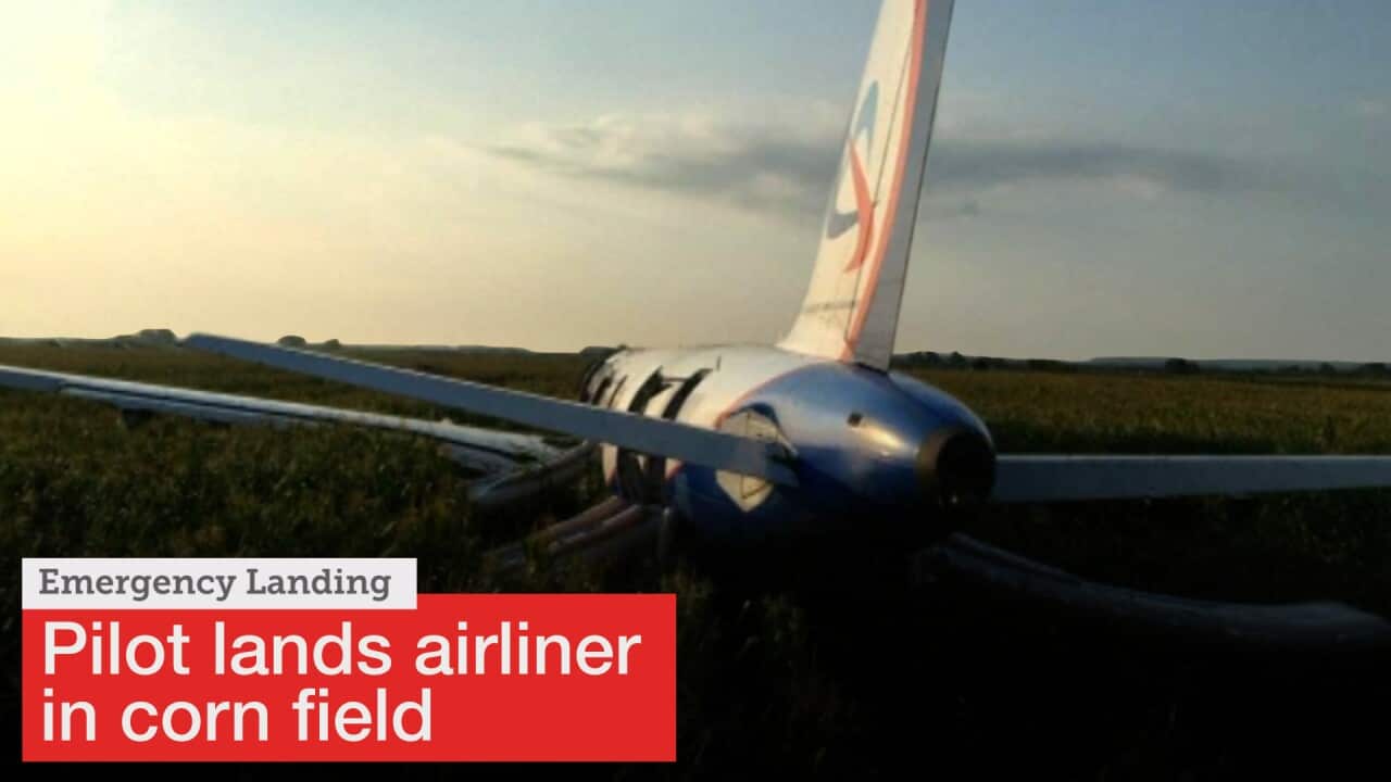 Russian airliner makes emergency landing in corn field