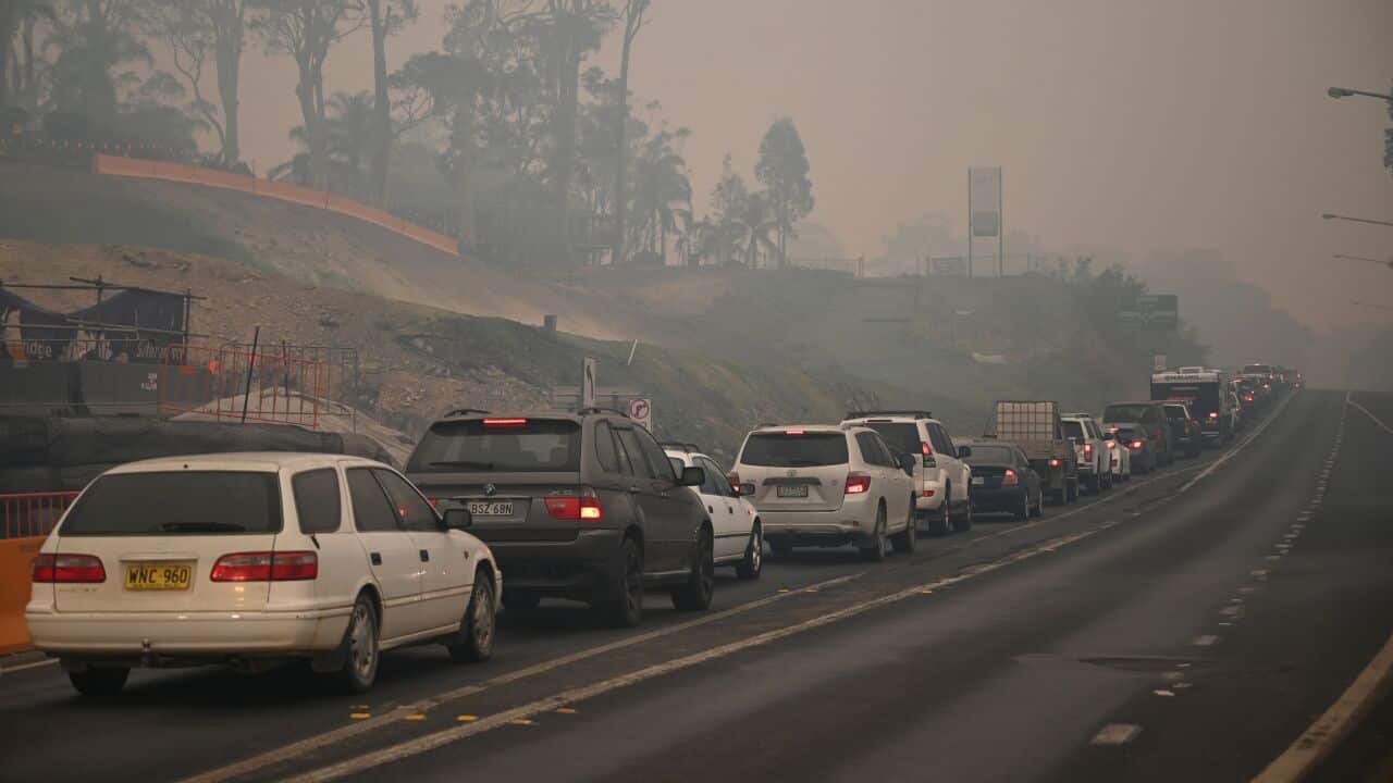 Cars line up to leave the town of Batemans Bay in New South Wales to head north.