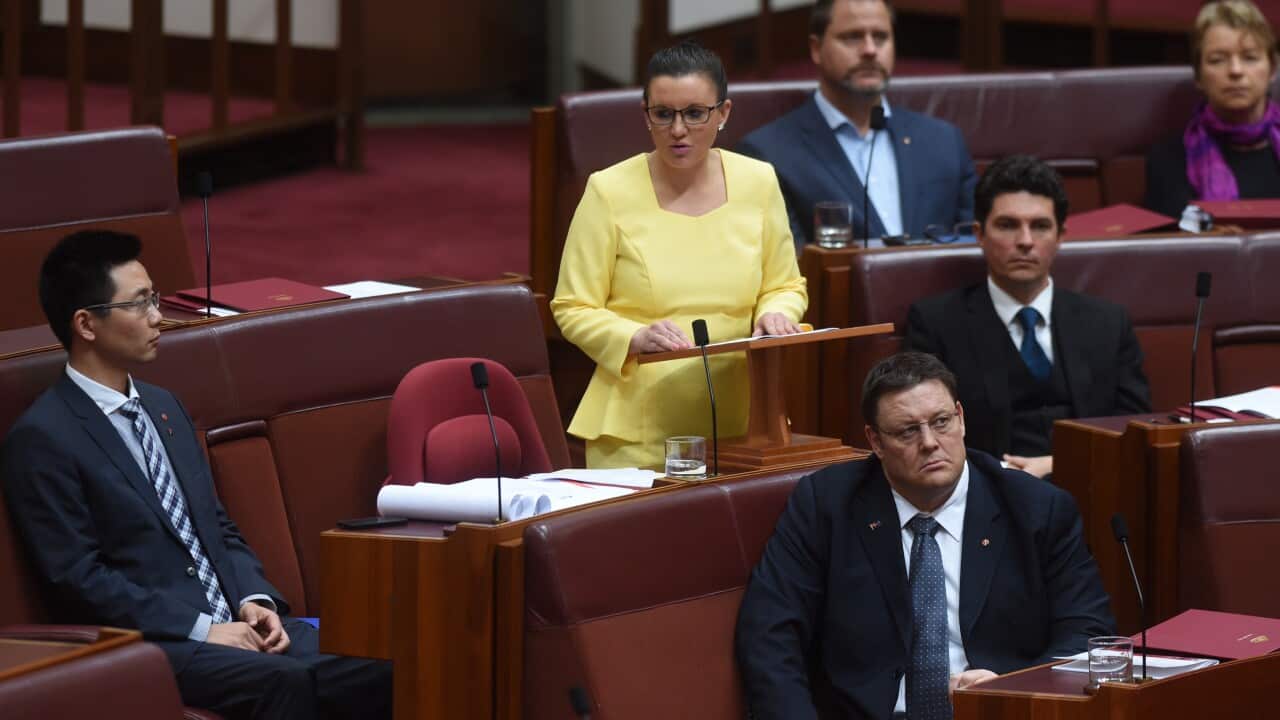 Jacqui Lambie calls for Indigenous seats in Parliament