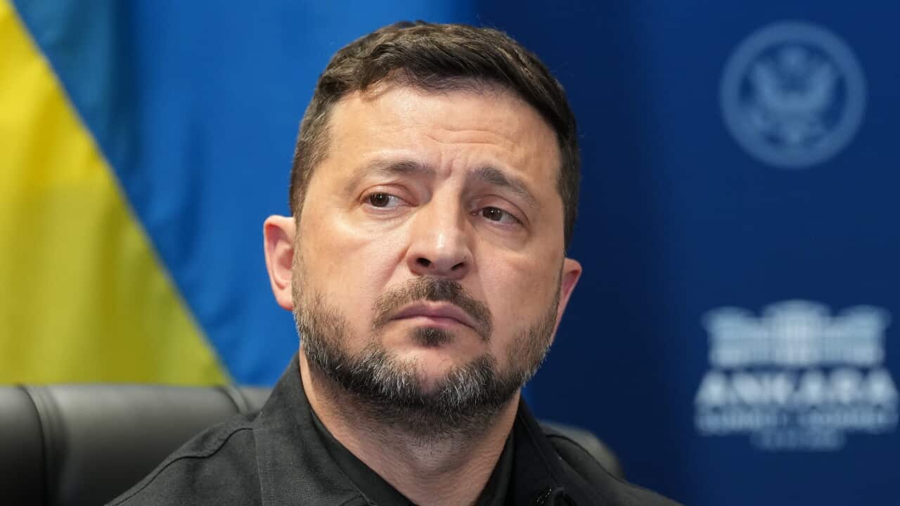 Volodymyr Zelenskyy