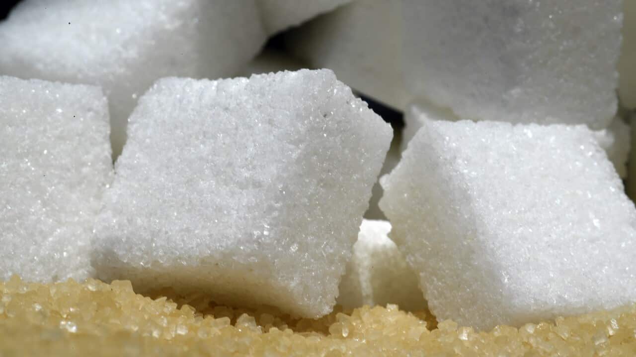 SUGAR STOCK