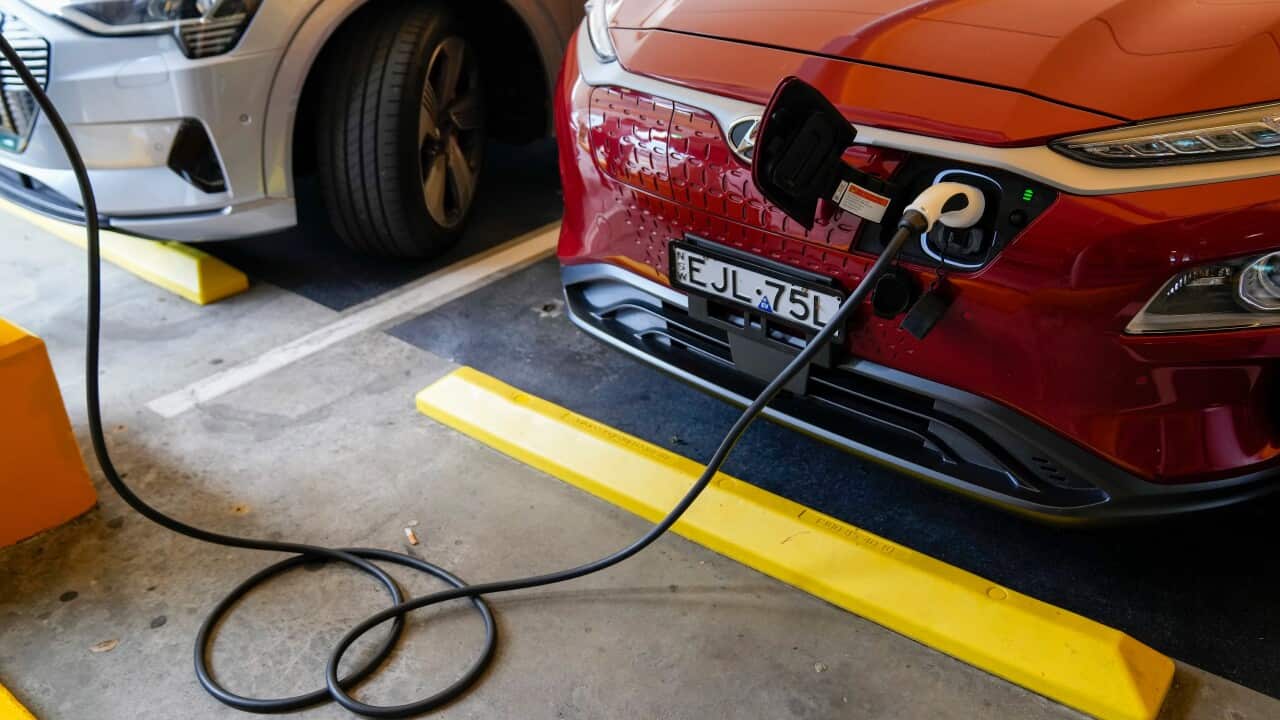 Image for read more article 'POTREBBE INTERESSARTI ANCHE'