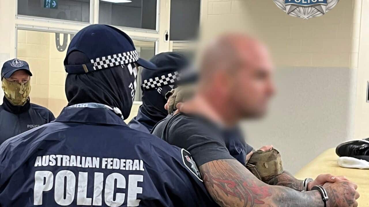 AFP release