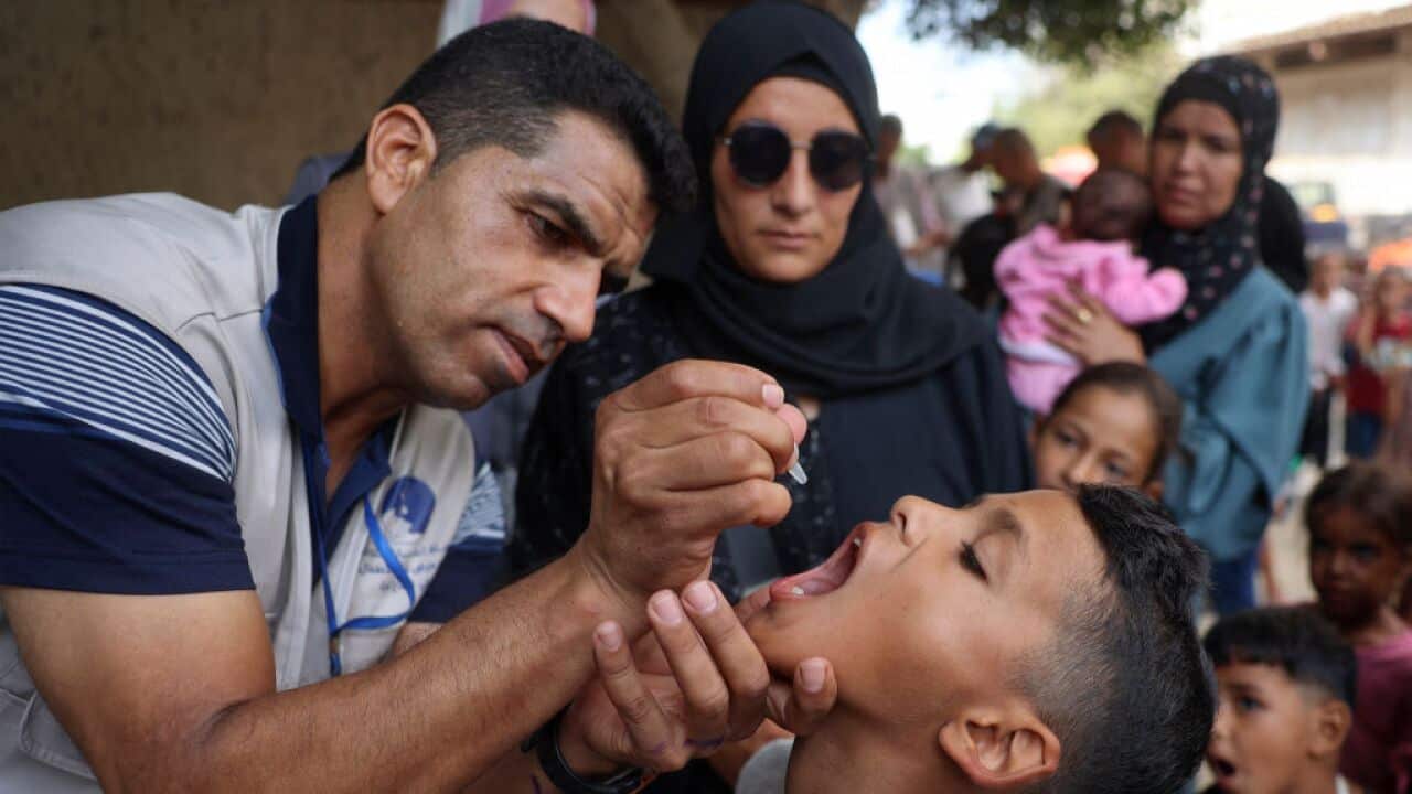 Image for read more article 'नेपालीमा पढ्नुहोस्'