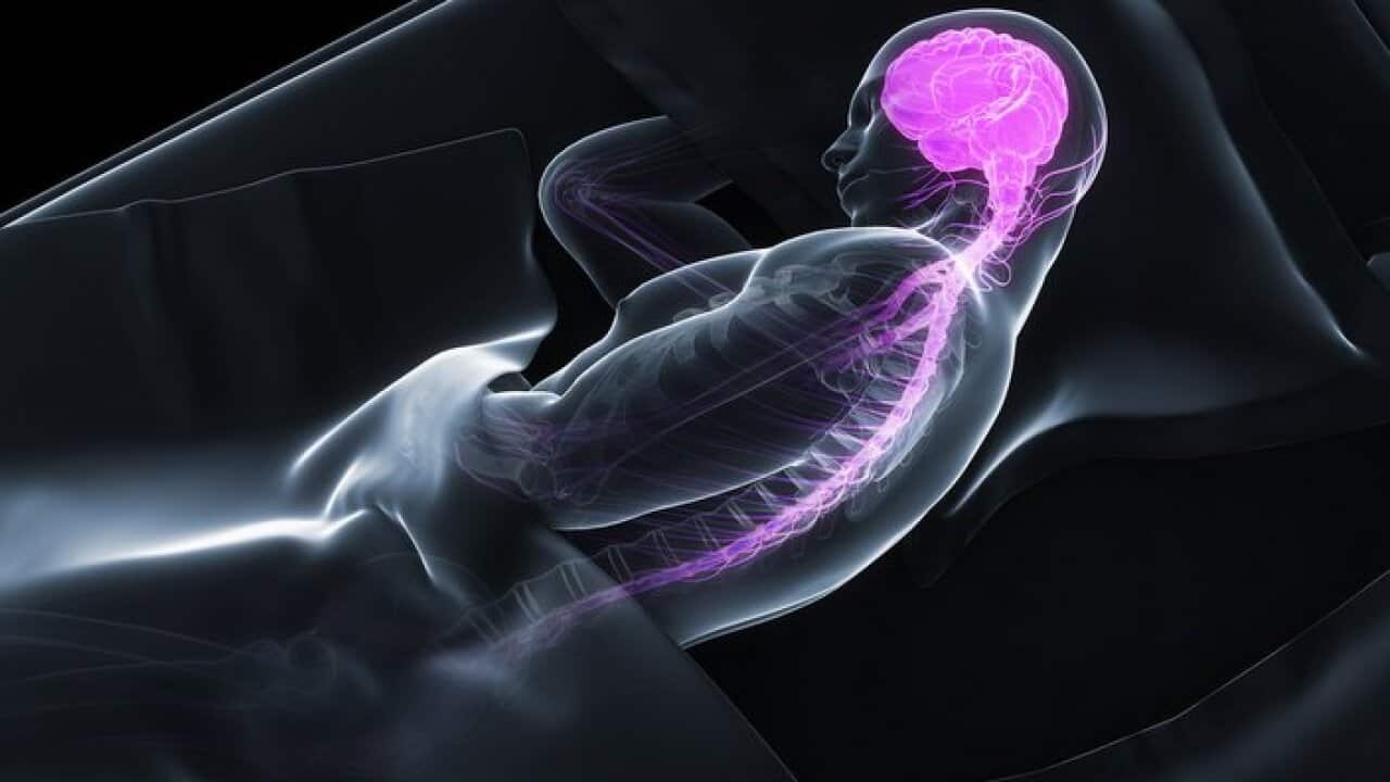 Brain awareness week