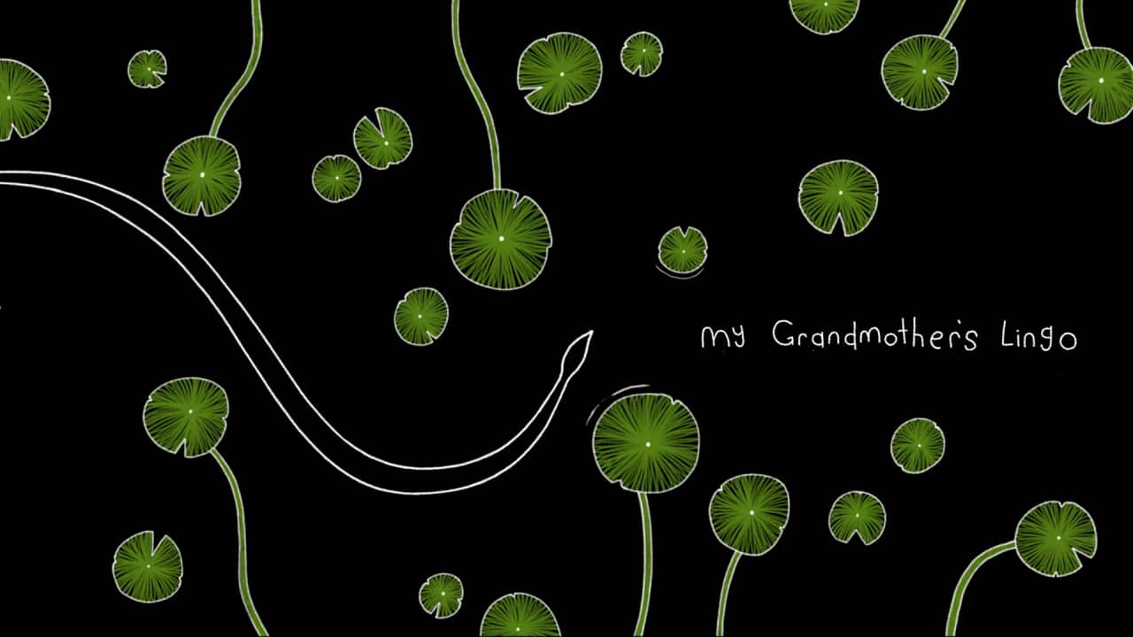 My Grandmother's Lingo