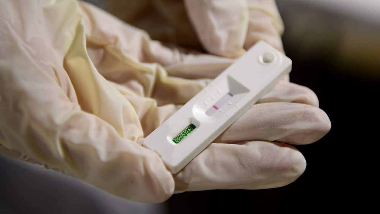 NSW COVID19 RAPID ANTIGEN TESTING