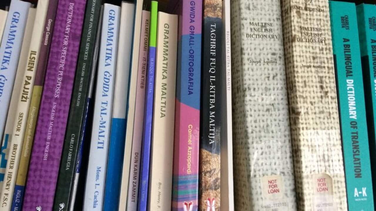 Maltese dictionaries