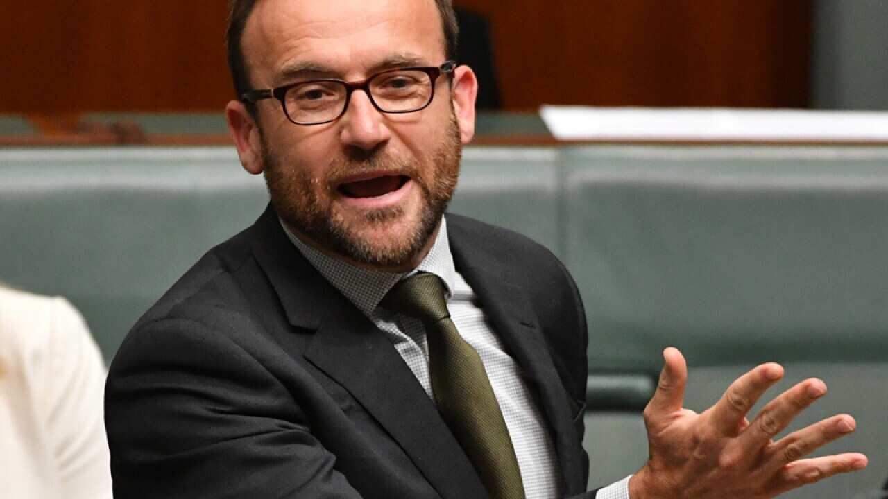 Greens Member for Melbourne Adam Bandt
