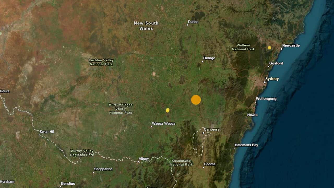 Screenshot 2026-03-12 083215.png