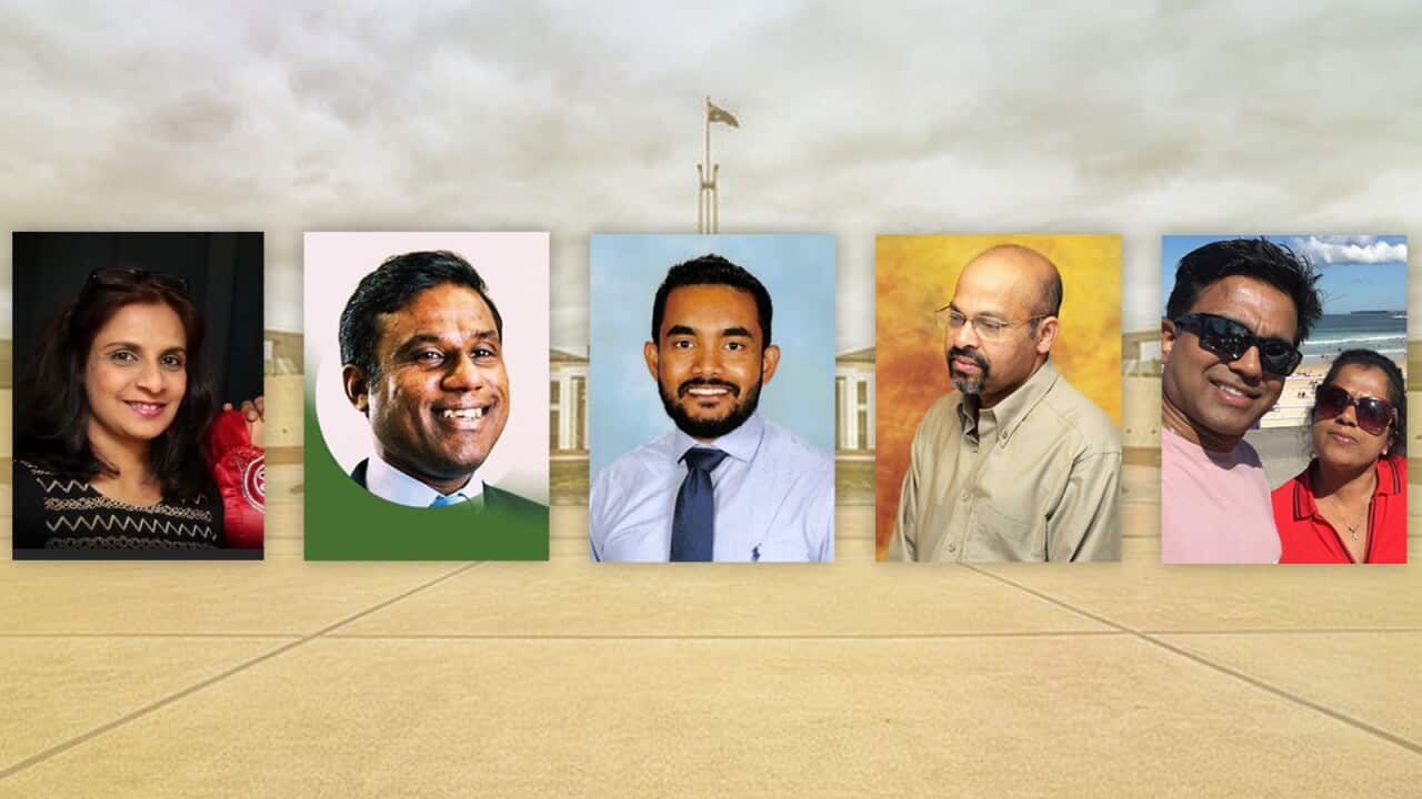 what the new Labor government should do in the next three years