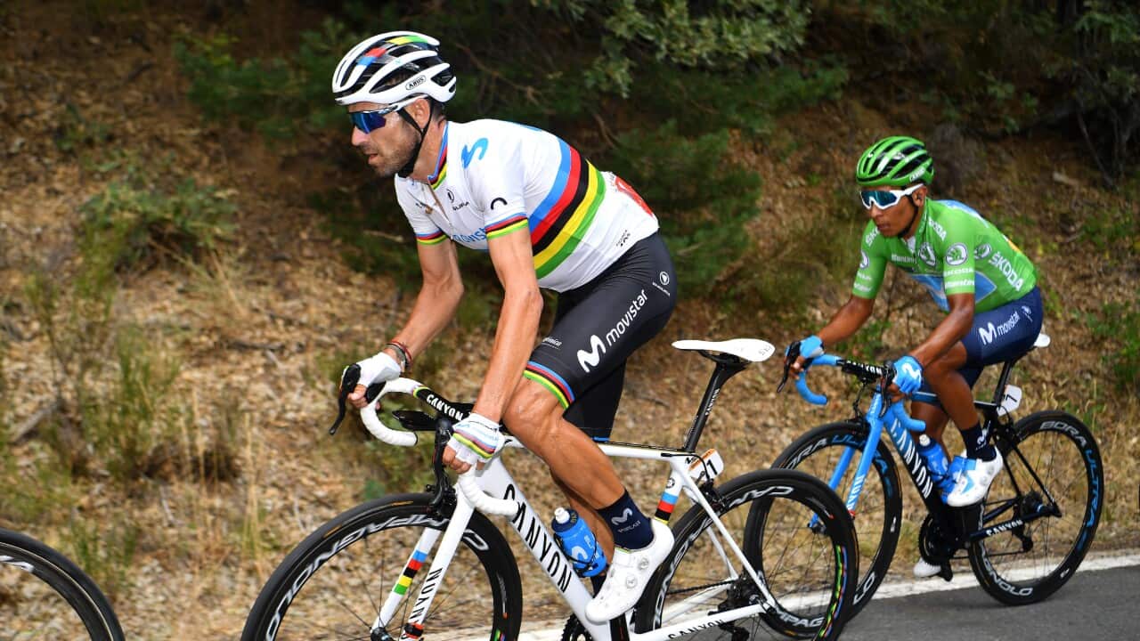 Alejandro Valverde, Nairo Quintana, Movistar, Vuelta a España