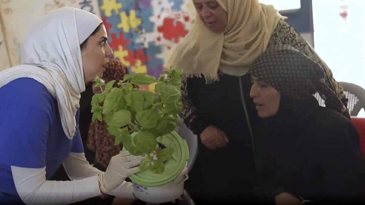 Maya al_Anani showing hydroponically-grown plants to residents of the Zaatari Camp