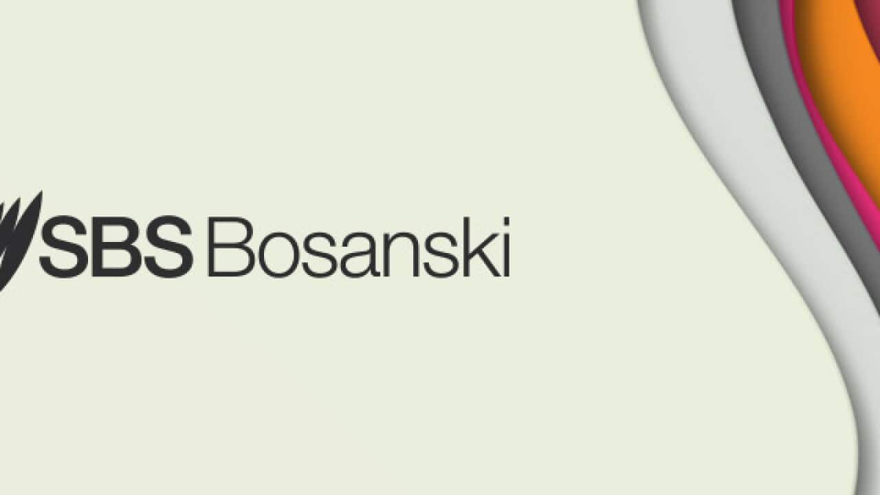 SBS Bosanski.jpg
