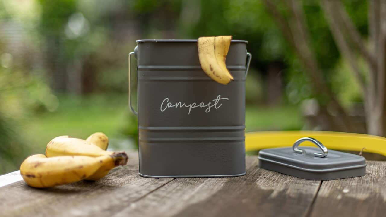 Image for read more article 'Potrebbe interessarti anche:'