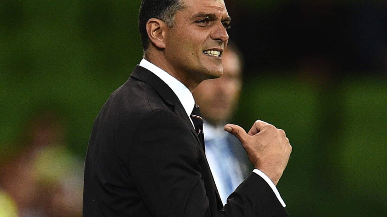 Brisbane Roar coach John Aloisi