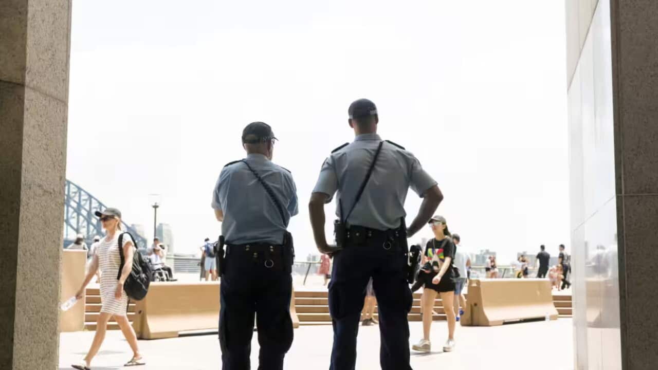 police.jpg
