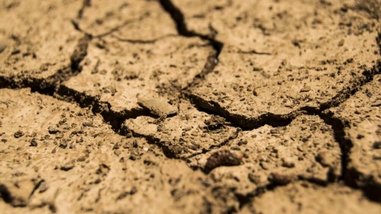 Drought has affected eastern Australia for the last 18 months