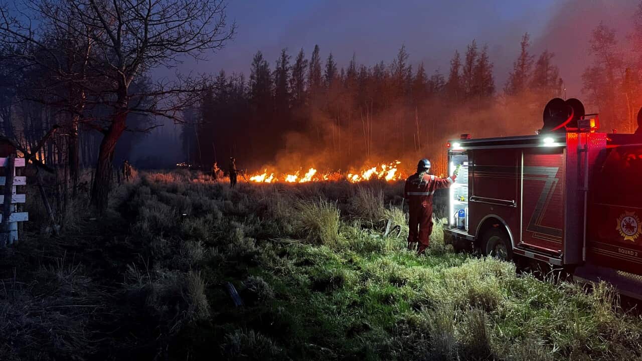 A firefighter stands next to a firetruck and looks at fire consuming trees in front of him.