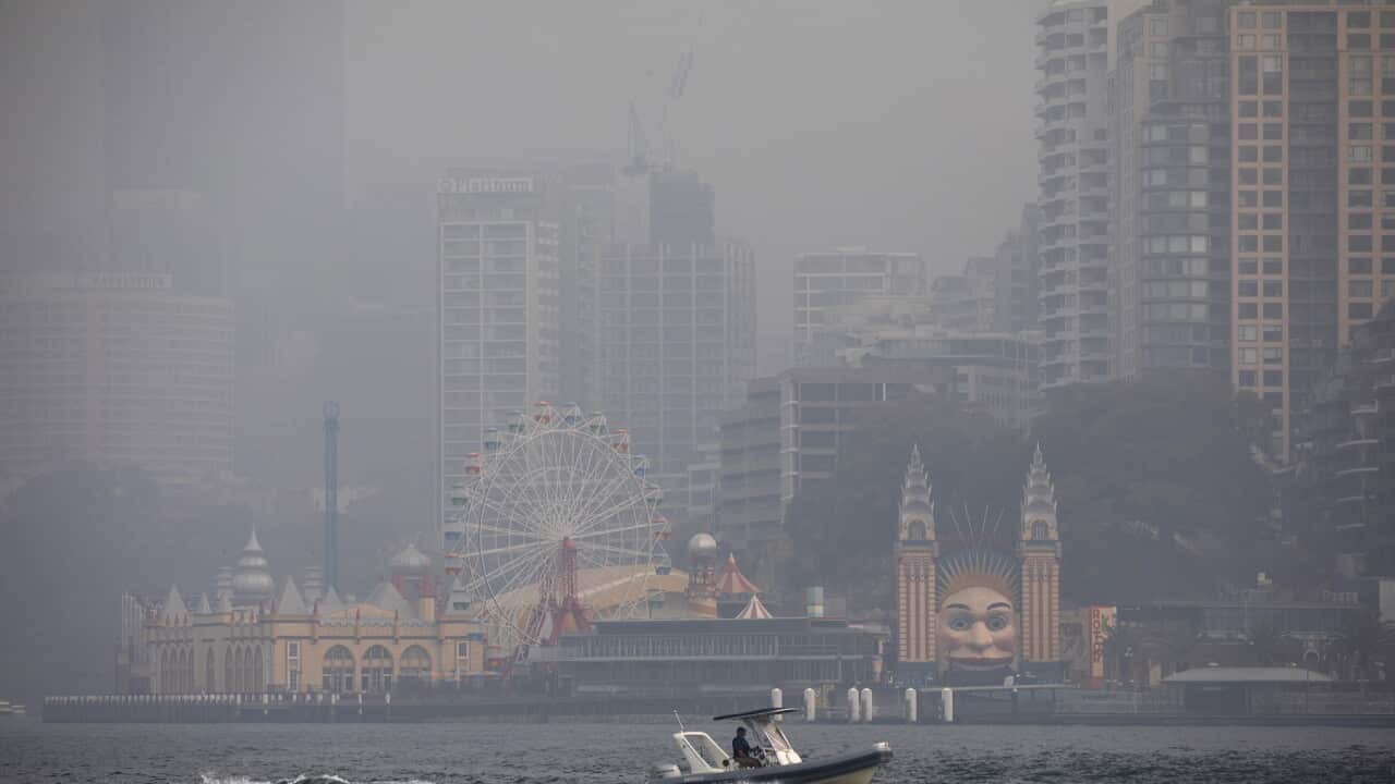 Bushfire smoke affecting Sydney Harbour in January 2020 (Getty).