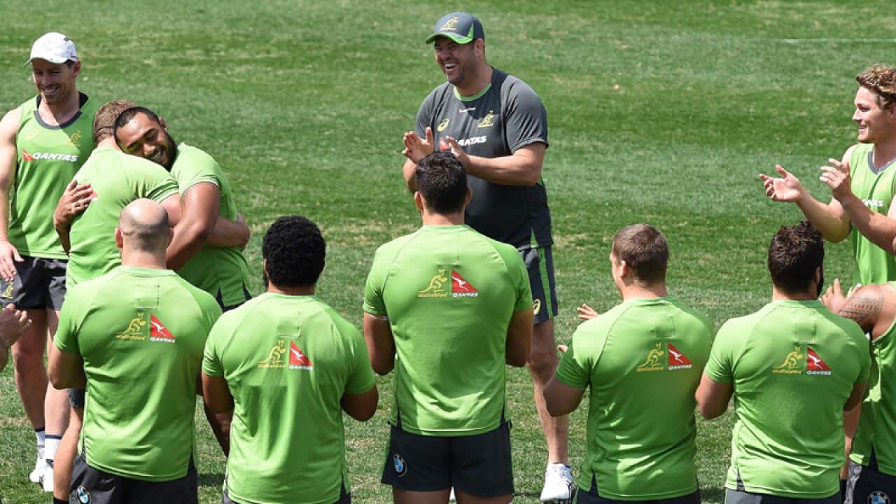 coach Michael Cheika and the Wallabies
