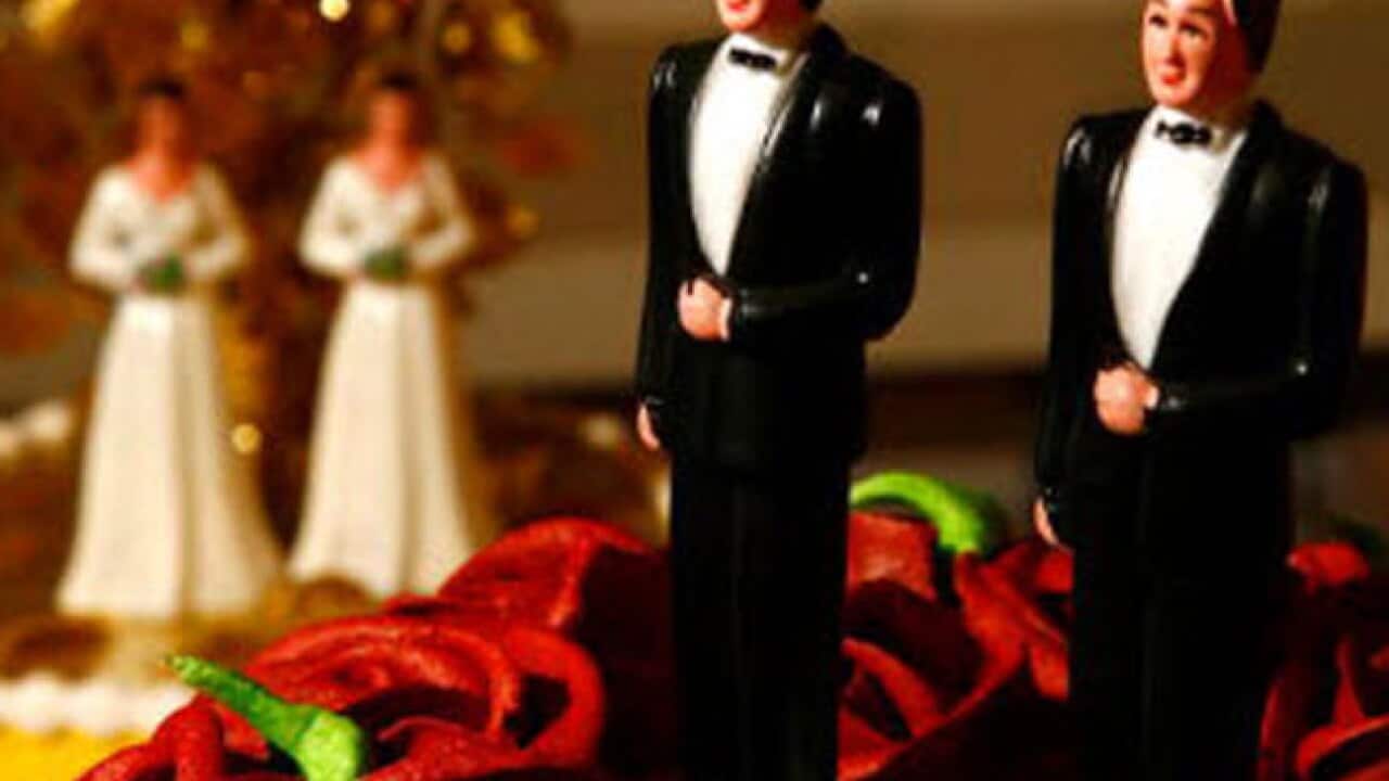 TAS_gaymarriage_B_120805_209846365