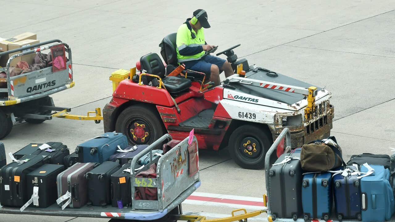 A luggage handler transporting suitcases on the airport tarmac