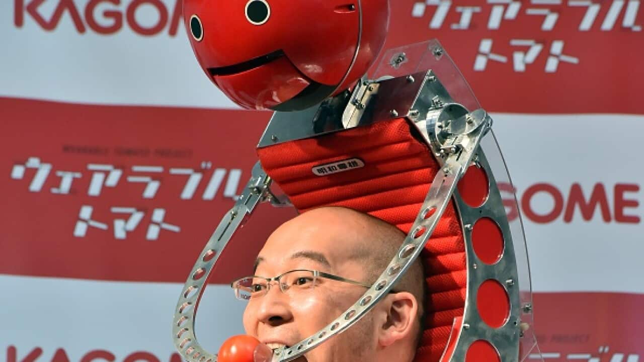 tomato machine