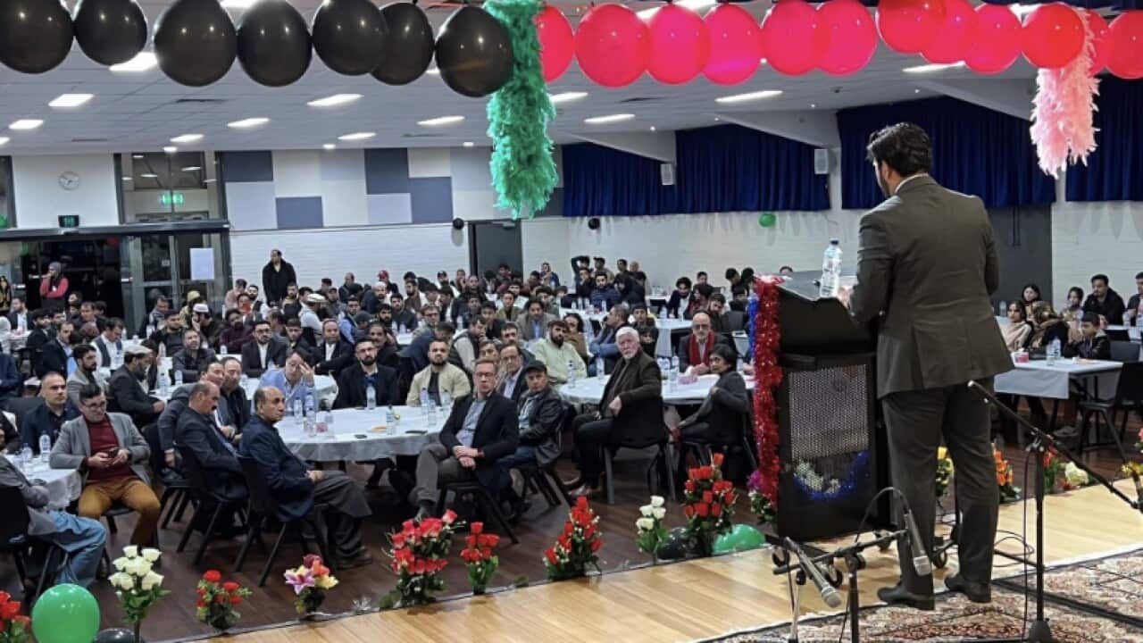 د افغان ټولنې د ملاتړ ډله