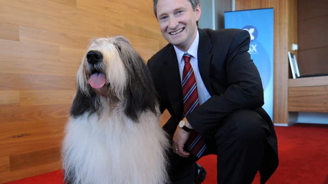 DuluxGroup Limited Chief Executive Officer Patrick Houlihan