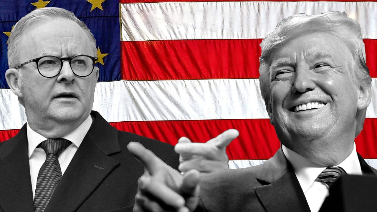 Noticias de SBS escritas sobre fondo amarillo.