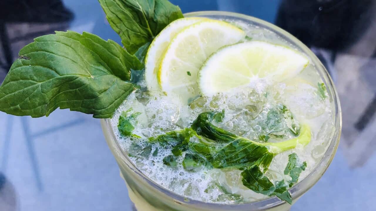 Die Ingwer-Zitronen-Limonade von Julia Schließer