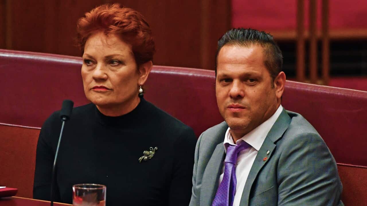 One Nation leader Senator Pauline Hanson and One Nation Senator Peter Georgiou.
