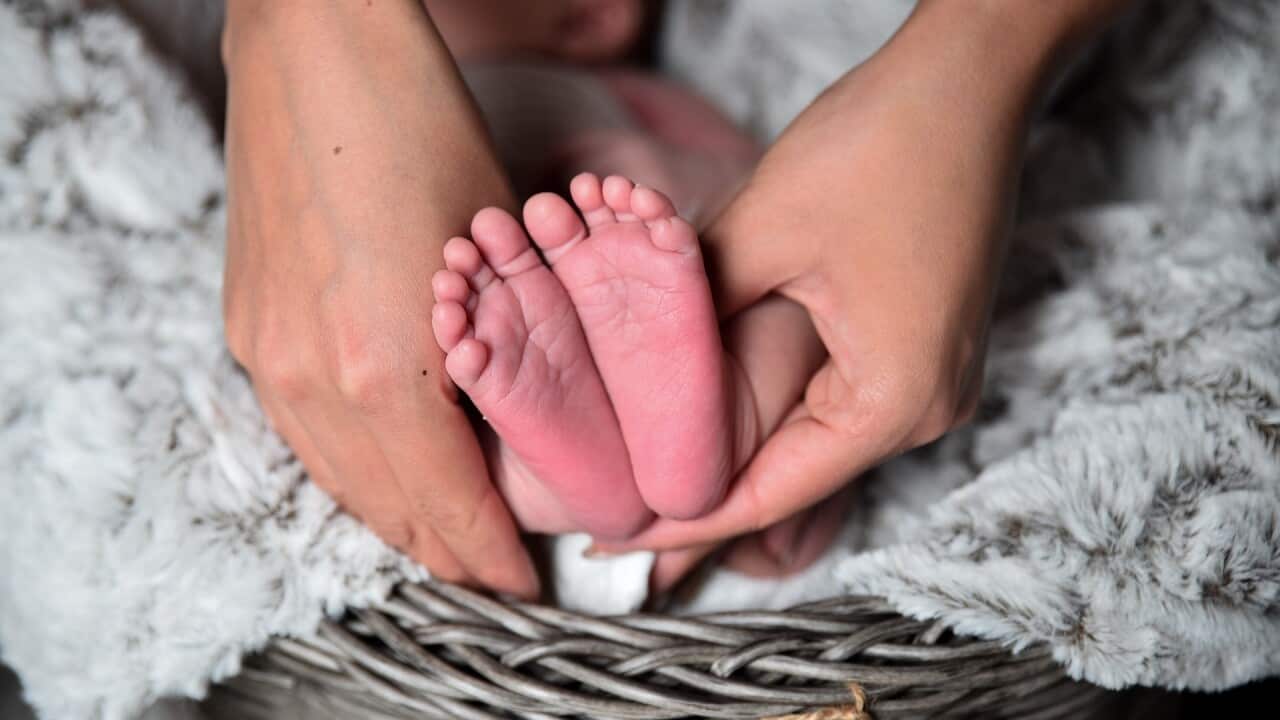 Image for read more article ''