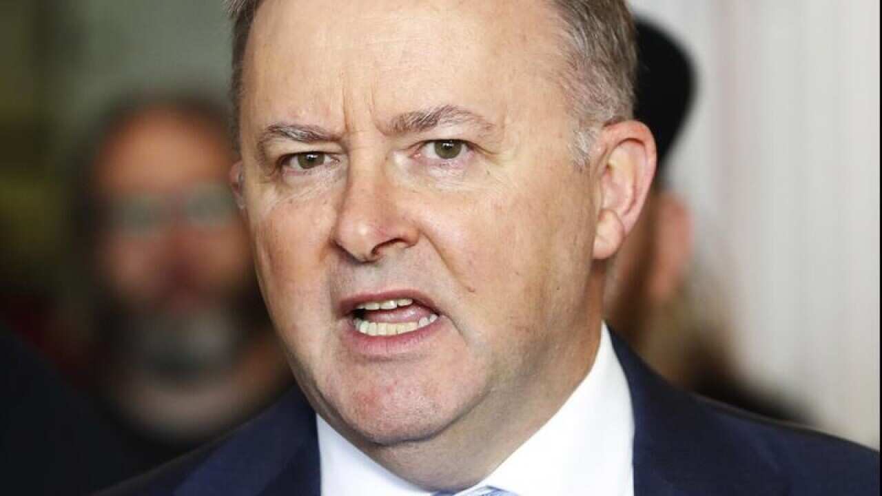 Labor's Anthony Albanese said the government was now openly talking merger plans.