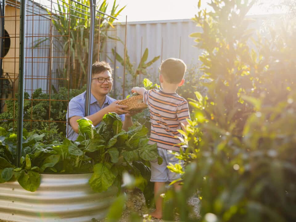 Bonding In The Garden