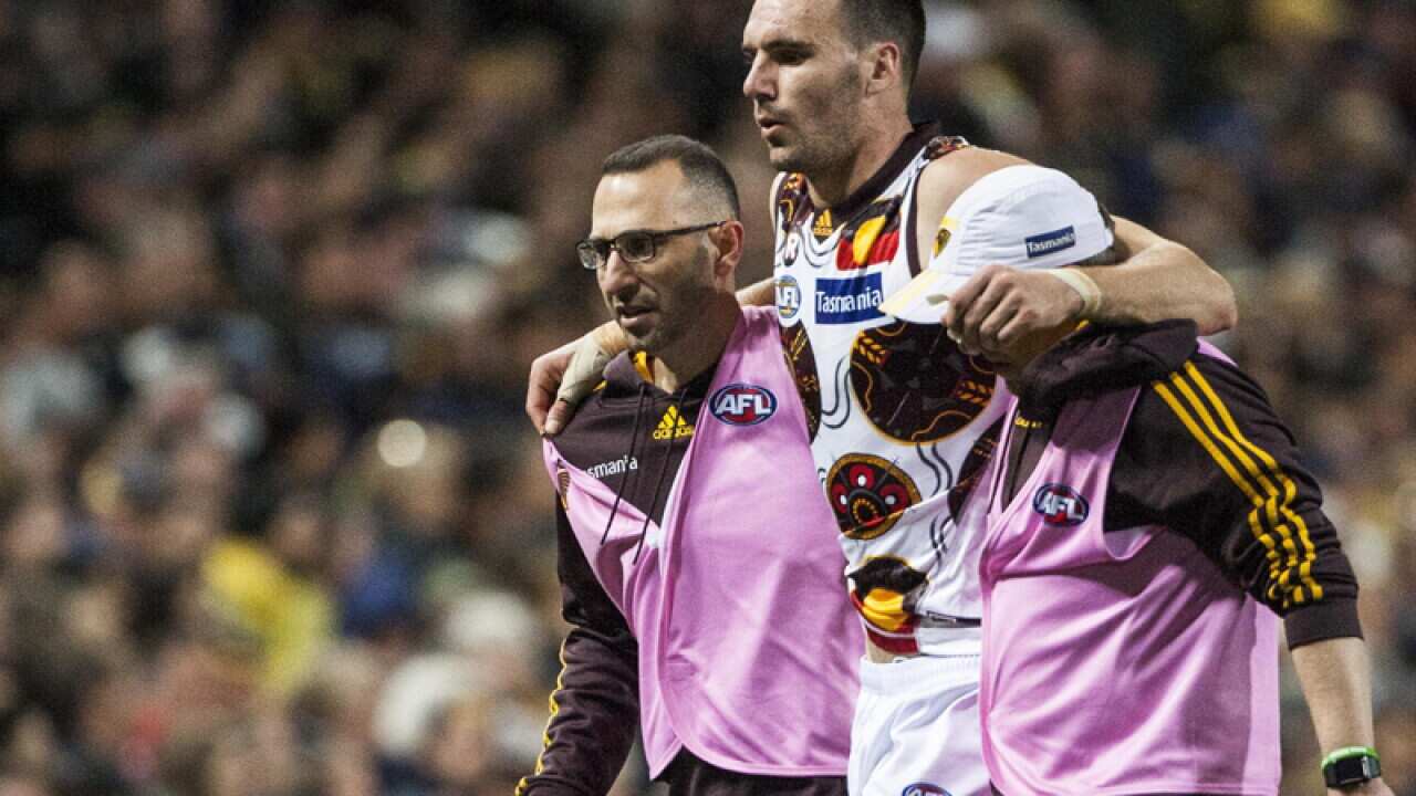 Jonathon Ceglar of Hawthorn receives medical attention