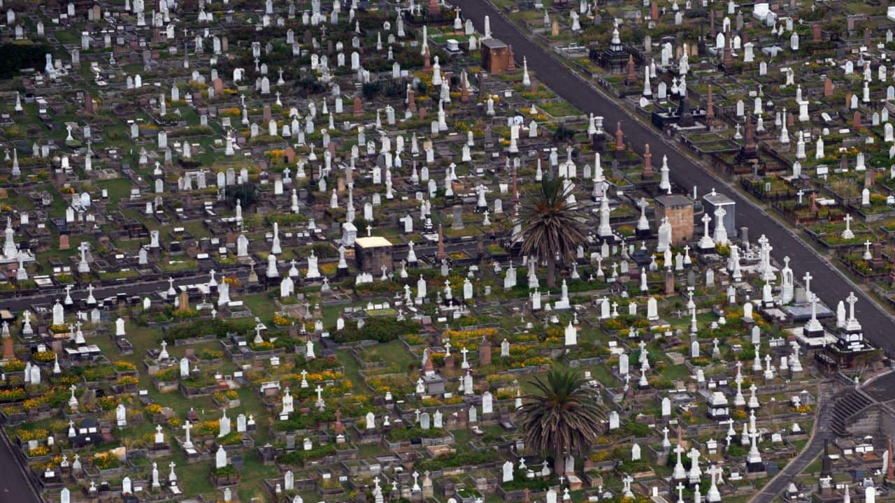A cemetery in Sydney, Australia.